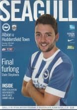 Brighton and Hove Albion v Huddersfield Town 14-Apr-2015