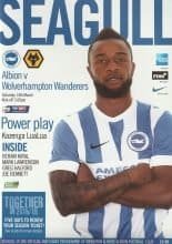 Brighton and Hove Albion v Wolverhampton Wanderers   14-Mar-2015
