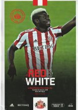 Sunderland v Manchester City u21  22-Jan-2019