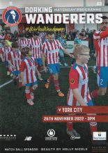 Dorking Wanderers v York City  26-Nov-2022