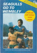 Seagulls go to Wembley