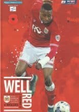 Bristol City v Wolverhampton Wanderers  03-Nov-2015