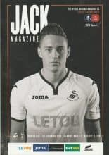 Swansea City v Tottenham Hotspur 17-Mar-2018