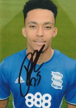 Josh Dacres-Cogley photo