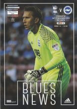 Birmingham City v Brighton & Hove Albion  17-Dec-2016