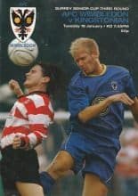 AFC Wimbledon v Kingstonian 18-Jan-2005