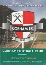 Cobham v AFC Wimbledon 15-Nov-2003