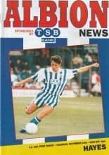 Brighton & Hove Albion v Hayes 14-Nov-1992