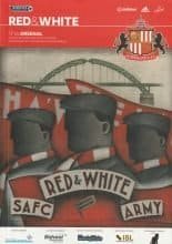 Sunderland v Arsenal  24-Apr-2016