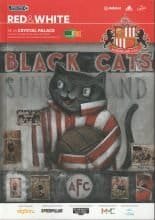 Sunderland v Crystal Palace  01-Mar-2016