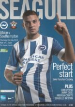 Brighton & Hove Albion v Southampton 31-Jul-2014