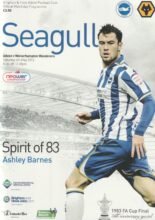 Brighton & Hove Albion v Wolverhampton Wanderers 04-May-2013