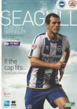 Brighton & Hove Albion v Barnsley 03-Dec-2013