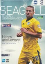 Brighton & Hove Albion v Birmingham City 11-Jan-2014
