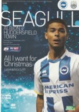 Brighton & Hove Albion v Huddersfield Town 21-Dec-2013