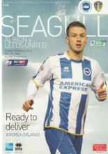 Brighton & Hove Albion v Leeds United 11-Feb-2014