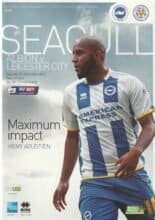 Brighton & Hove Albion v Leicester City 07-Dec-2013