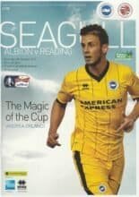 Brighton & Hove Albion v Reading 04-Jan-2014