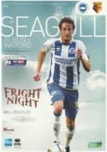 Brighton & Hove Albion v Watford 28-Oct-2013