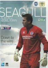Brighton & Hove Albion v Yeovil Town 25-Apr-2014