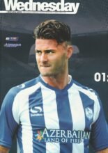 Sheffield Wednesday v Newcastle United 30-Jul-2014