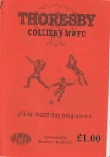 Thoresby Miners Welfare Reserves v Ripley Town Reserves 23-Feb-2002