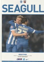 Brighton & Hove Albion v Brentford 05-Feb-2016