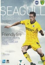 Brighton & Hove Albion v Norwich City 30-Jul-2013